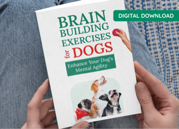 Home Remedies for Common Dog Issues free bonus cover
