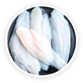 Hydrolyzed fish collagen in PawBiotix dog probiotics