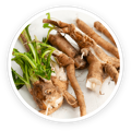 Organic ginger root in PawBiotix dog probiotics
